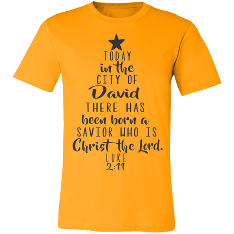 Luke 2:11 SS