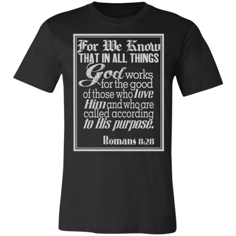 Romans 8:28 News SS
