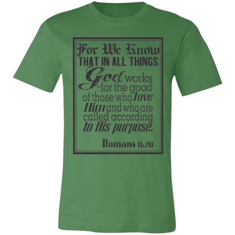 Romans 8:28 News SS