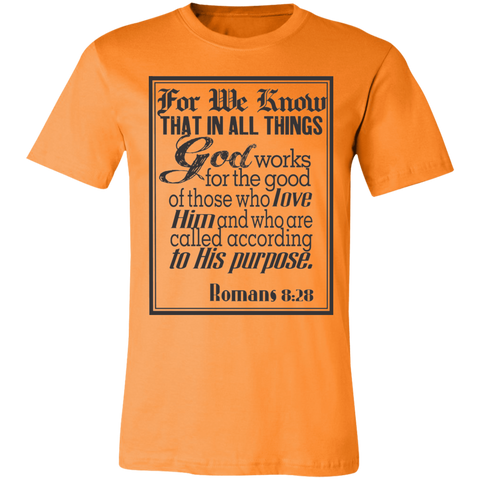 Romans 8:28 News SS