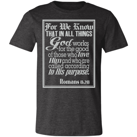 Romans 8:28 News SS
