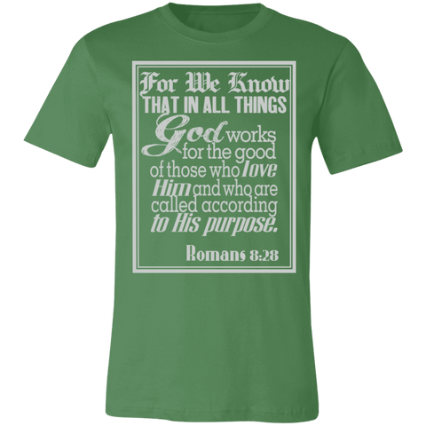 Romans 8:28 News SS